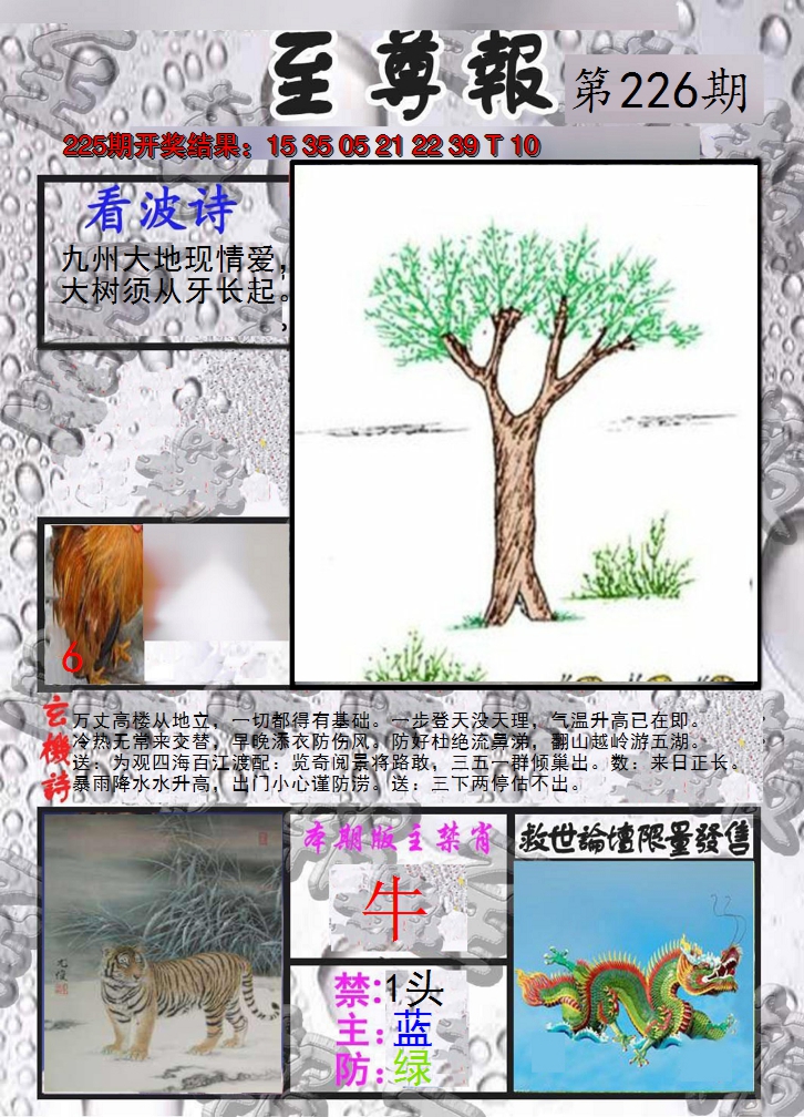 2024226期至尊报