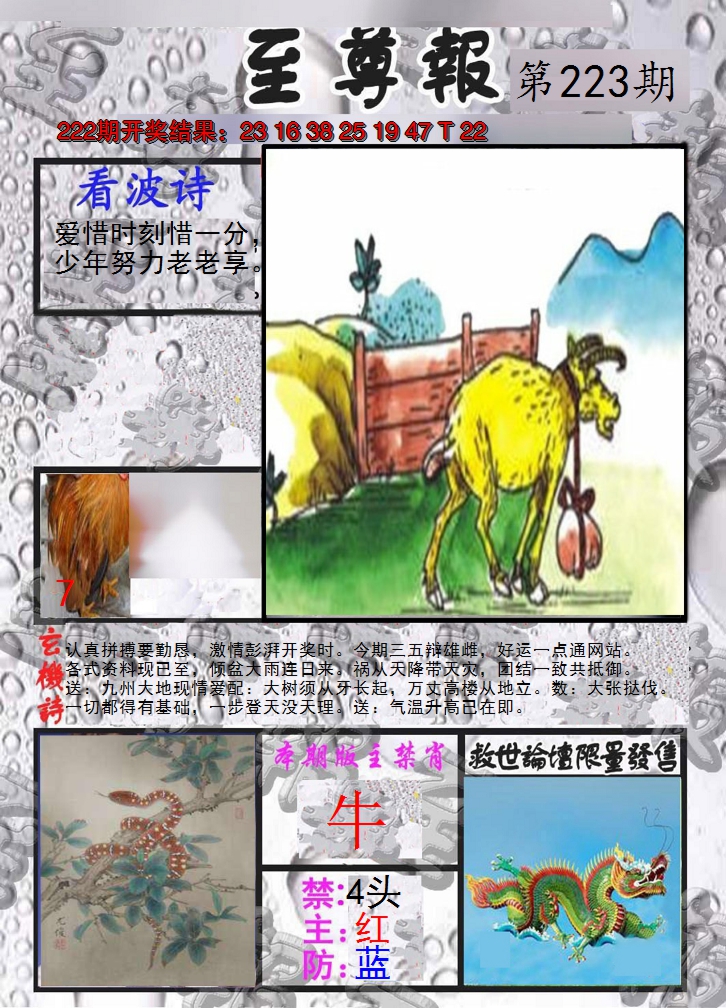 2024223期至尊报