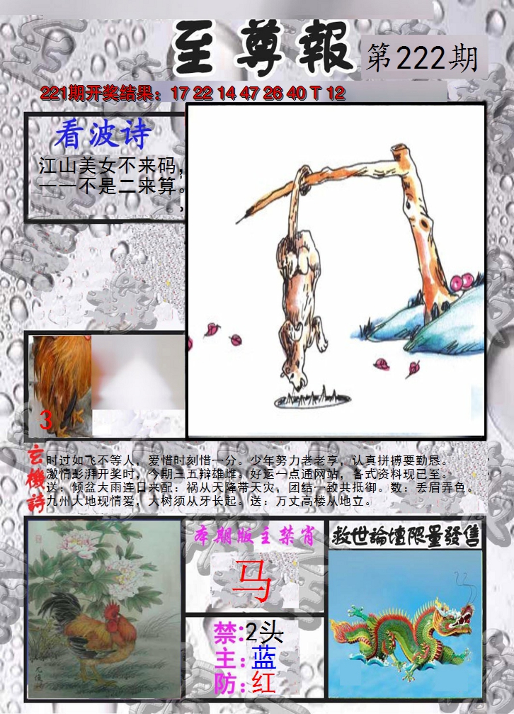 2024222期至尊报