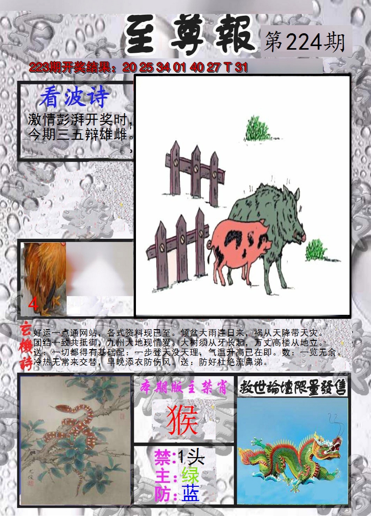 2024224期至尊报