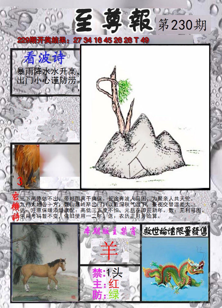 2024230期至尊报
