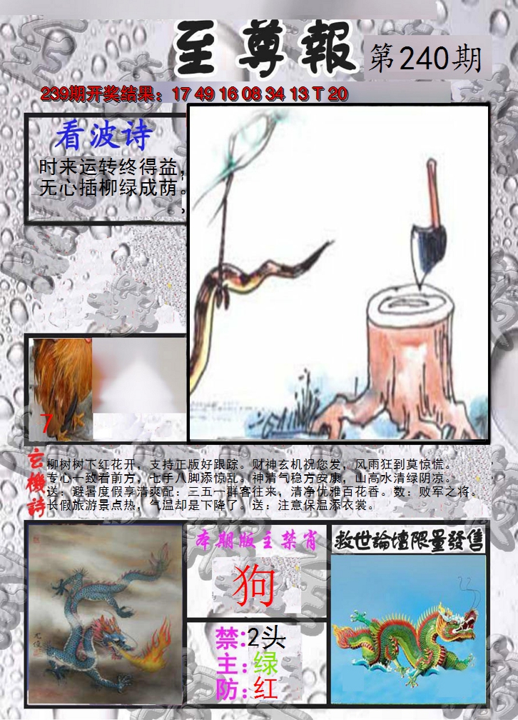 2024240期至尊报