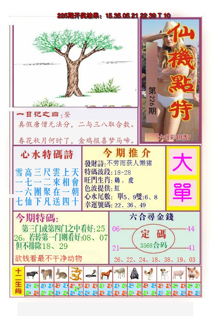 2024226期仙机点特