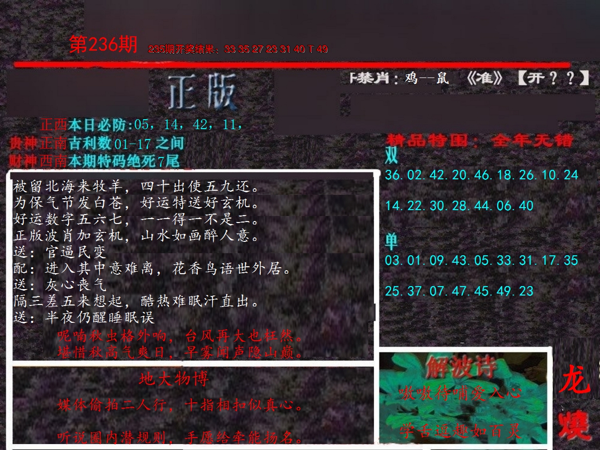 2024236期新港内幕