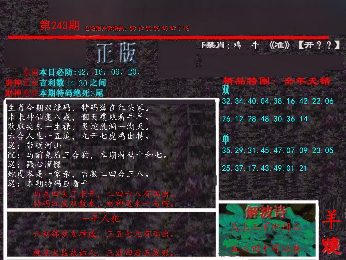 2024243期新港内幕