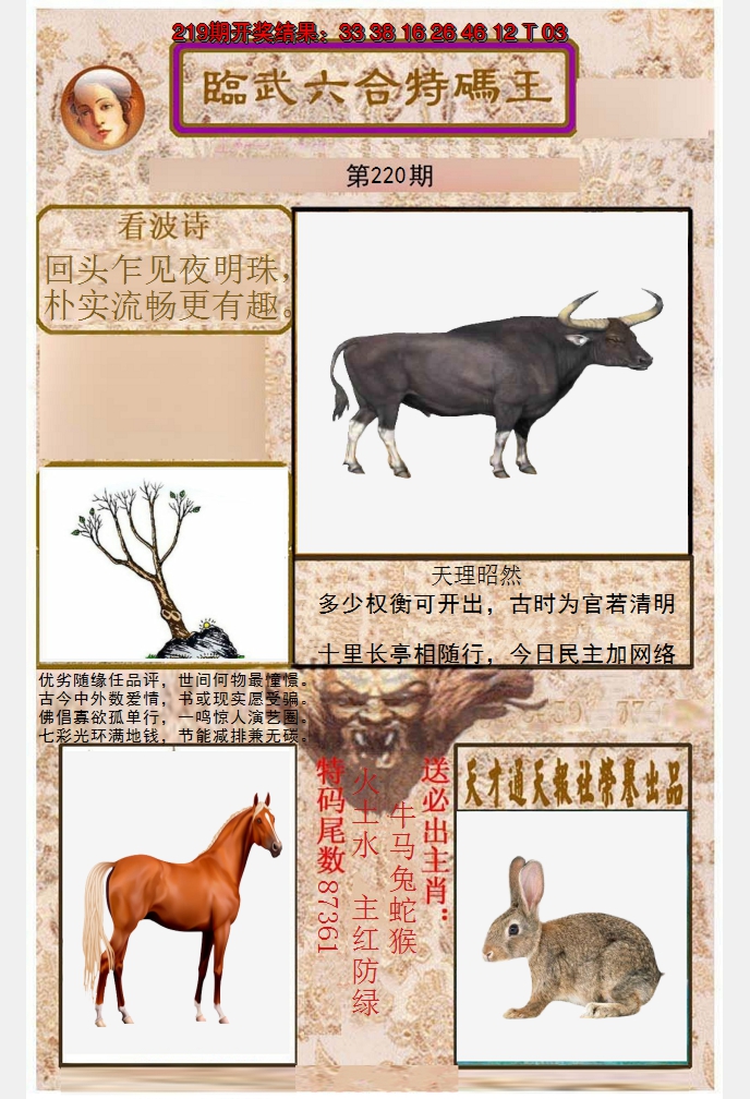 2024220期临武六合特码王