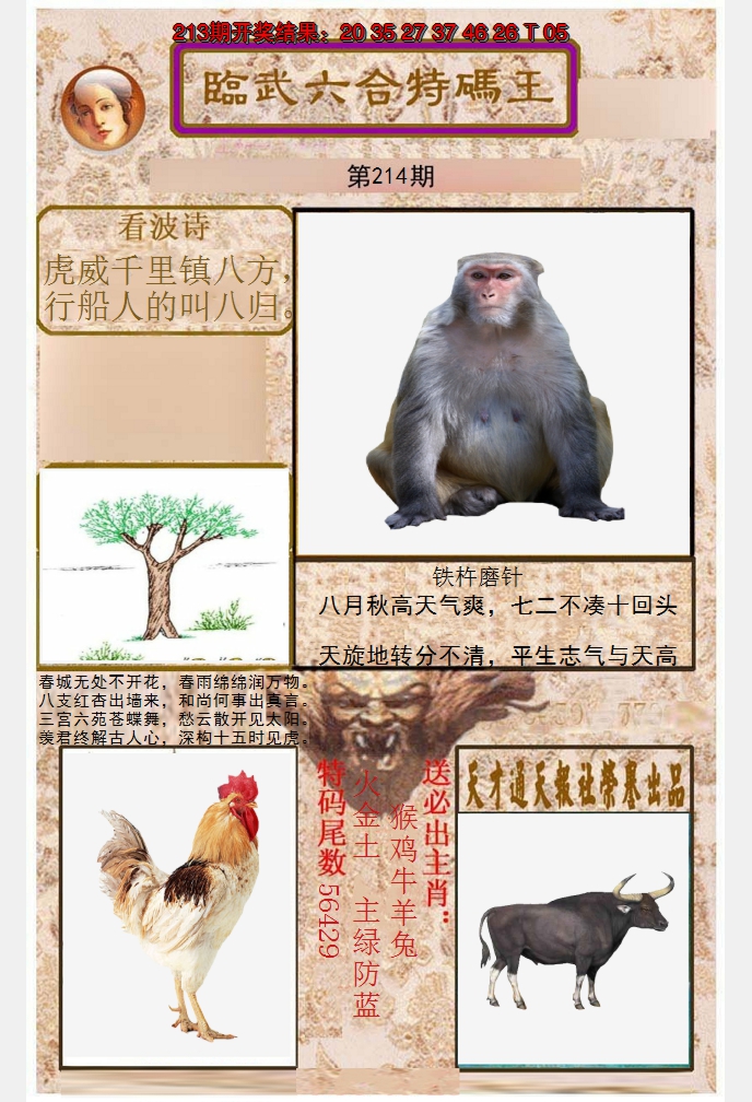 2024214期临武六合特码王