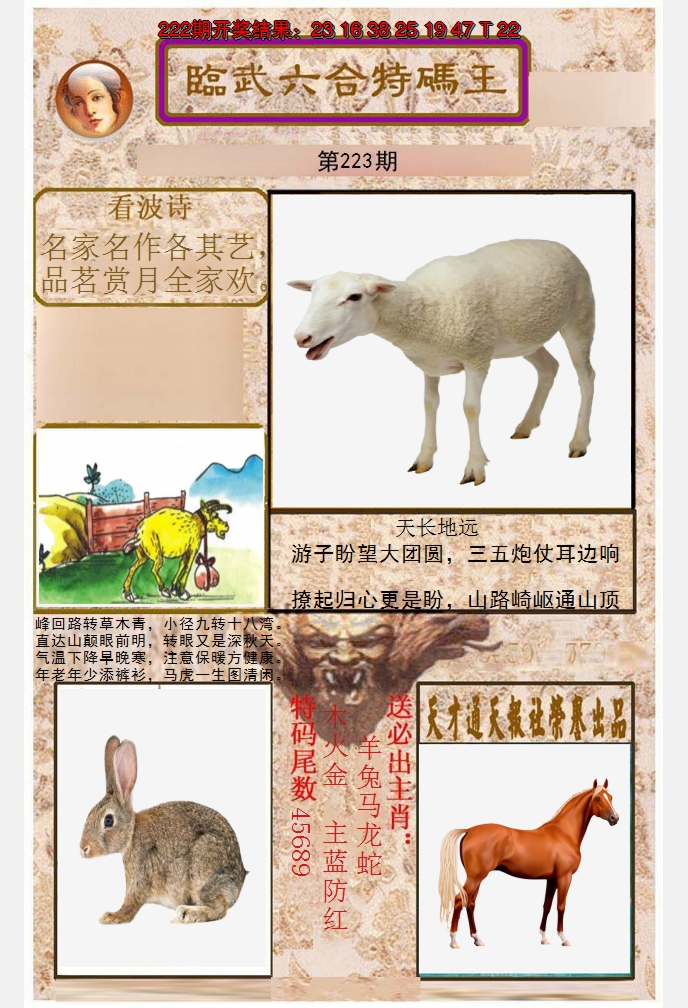 2024223期临武六合特码王