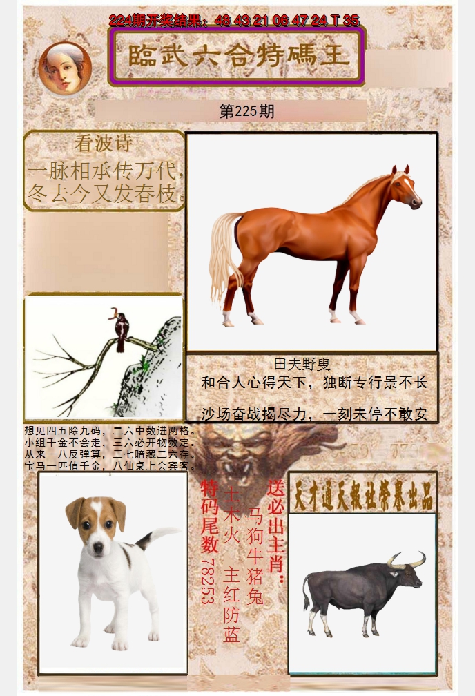 2024225期临武六合特码王