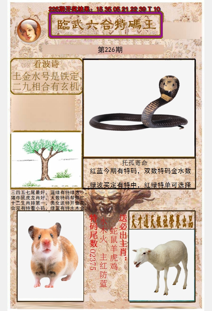 2024226期临武六合特码王