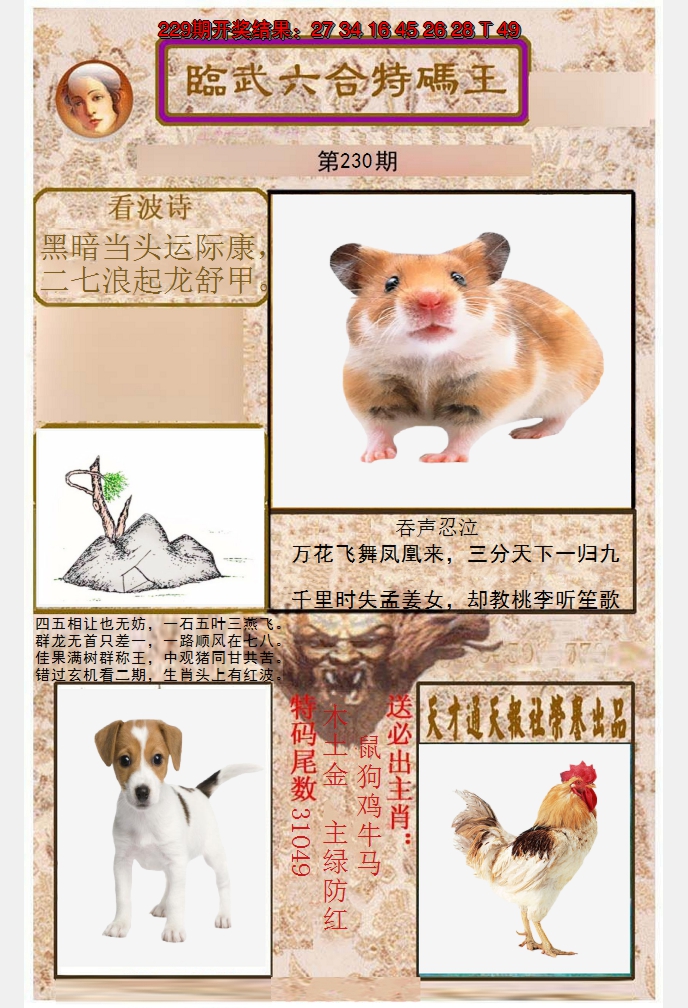 2024230期临武六合特码王