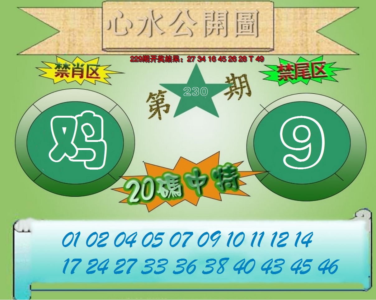 2024230期心水公开图
