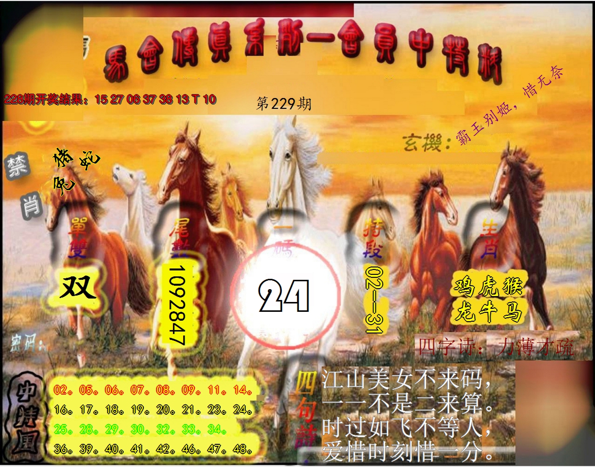 2024229期马会传真-会员报