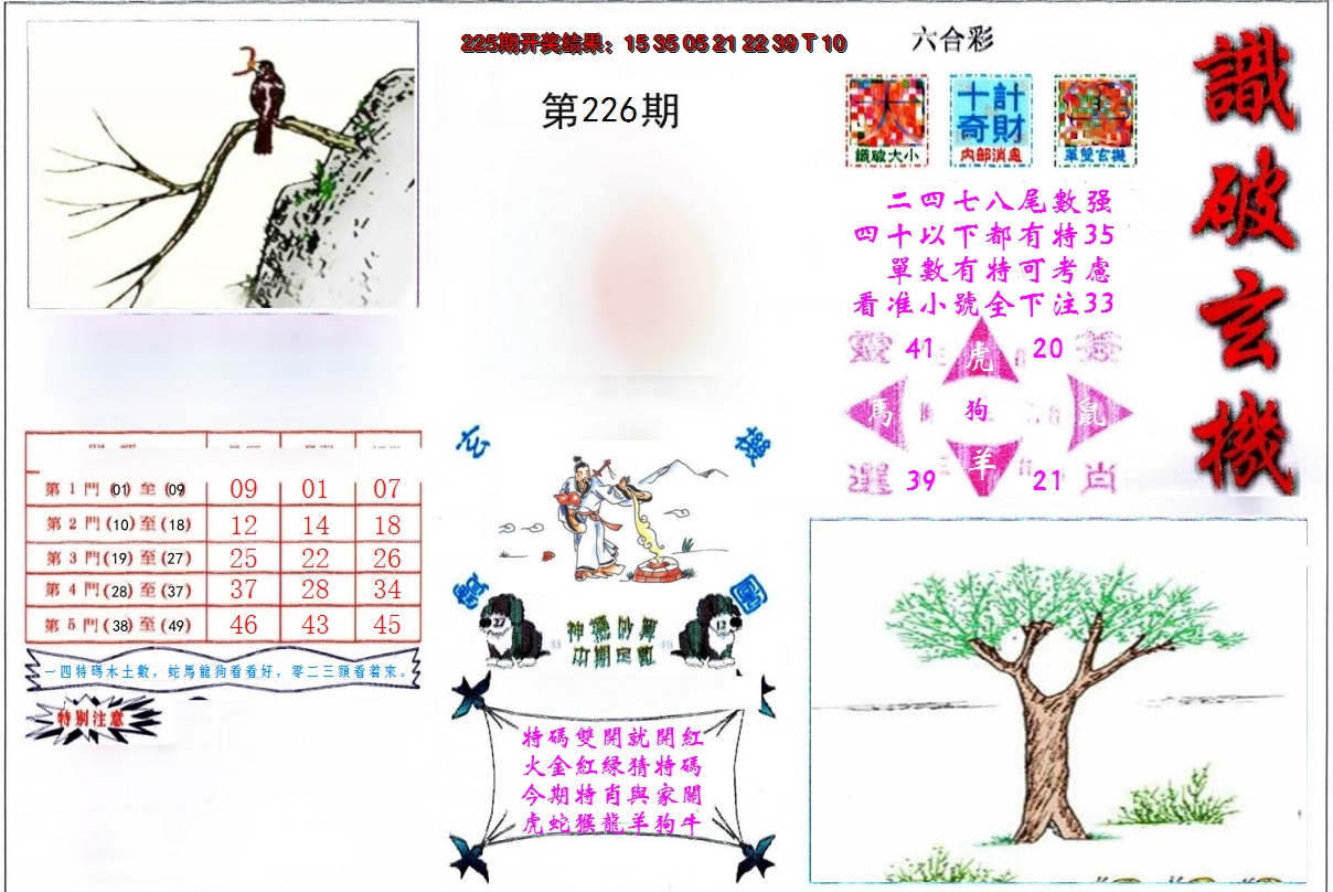 2024226期识破玄机