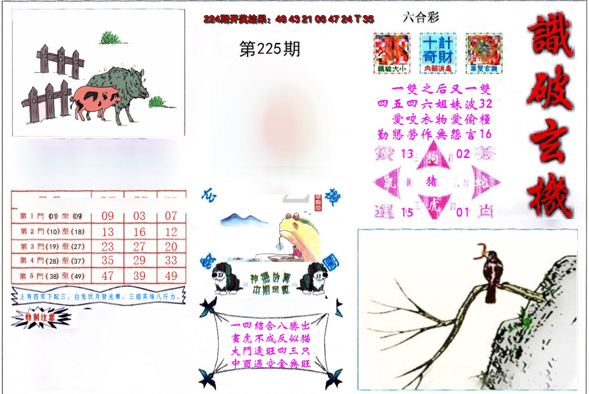 2024225期识破玄机