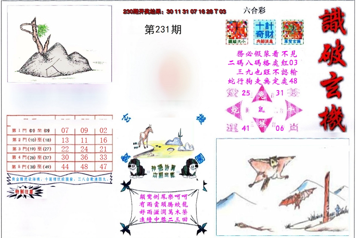 2024231期识破玄机