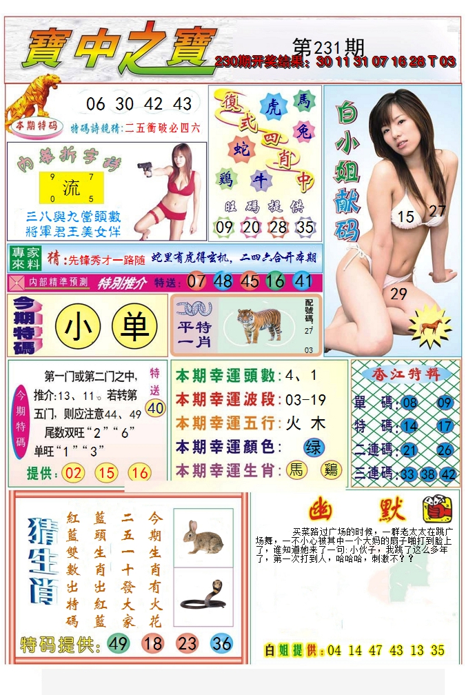 2024231期宝中之宝