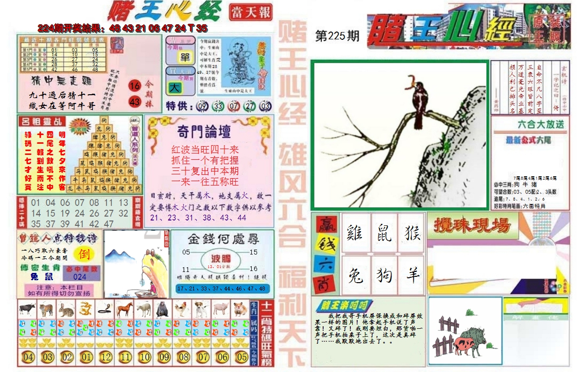2024225期赌王心经