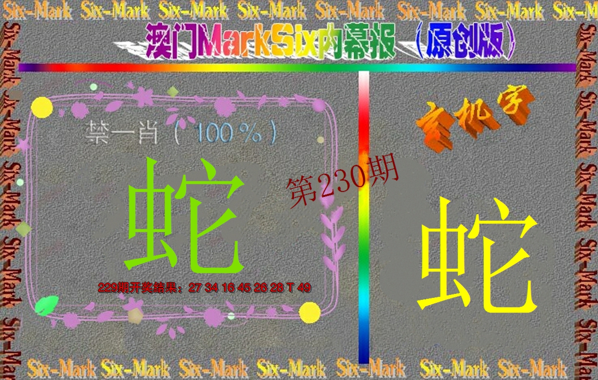 2024230期赛马会内幕报(原创版）