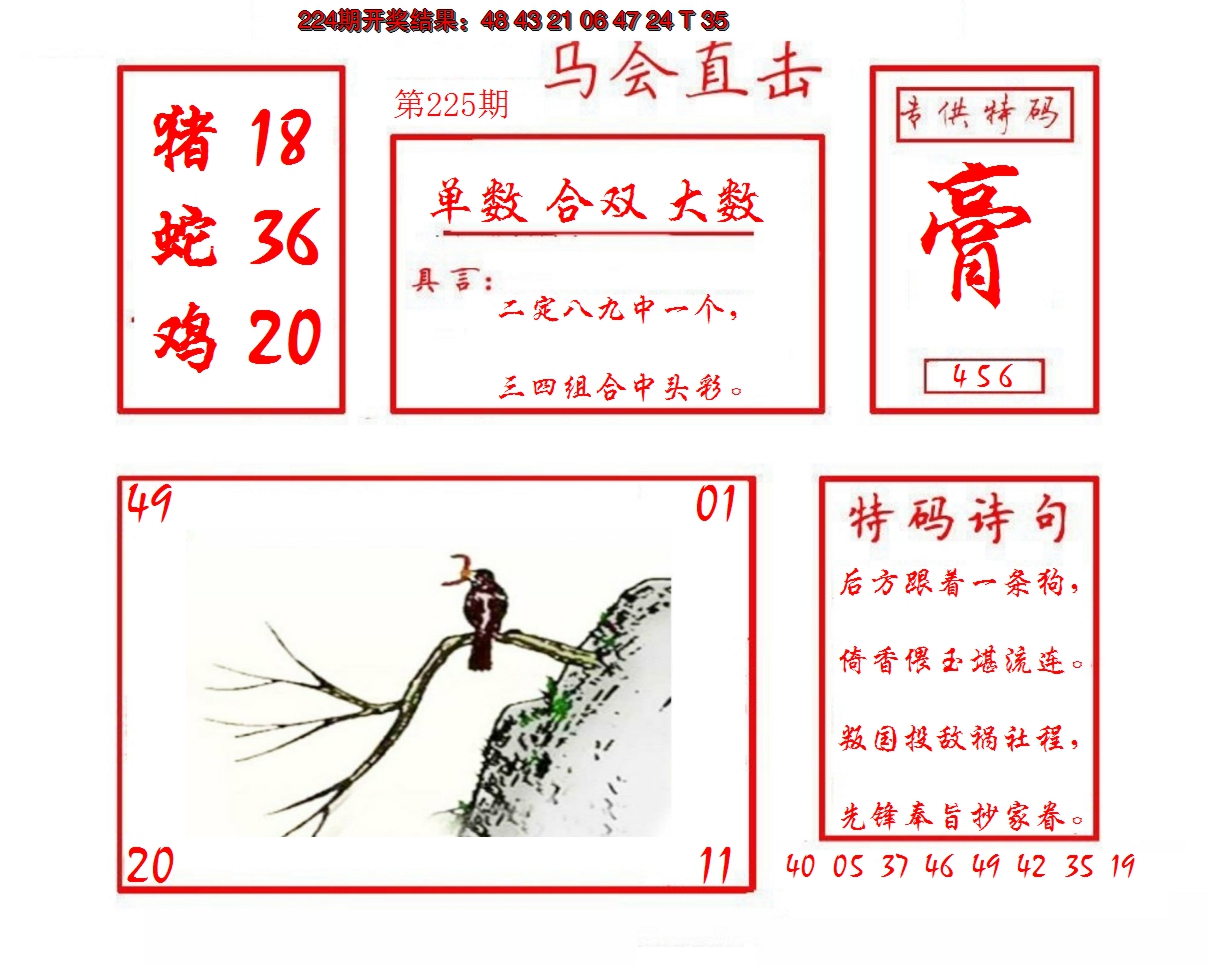 2024225期马会直击