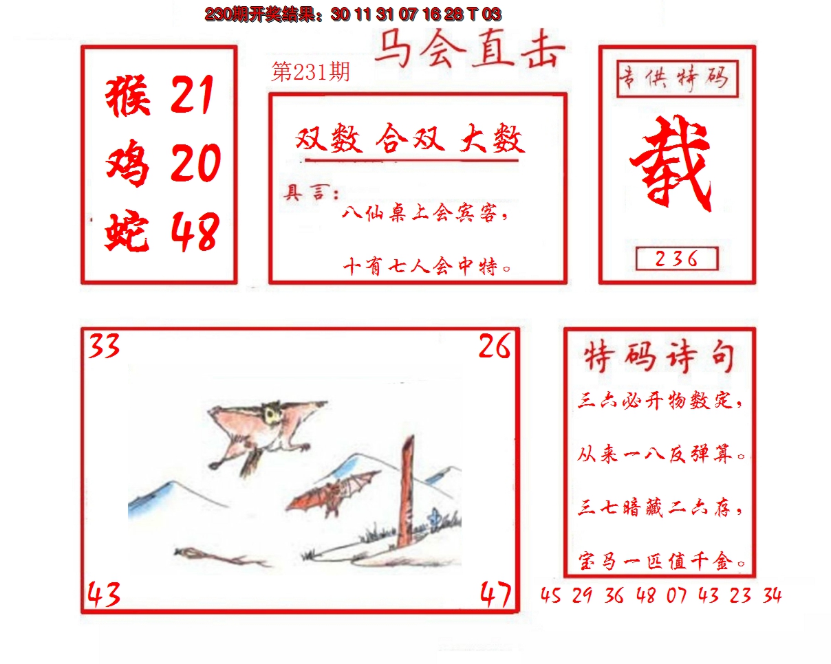 2024231期马会直击