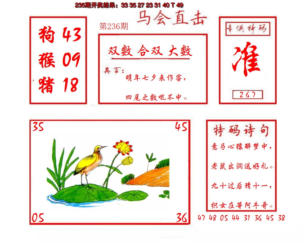 2024236期马会直击