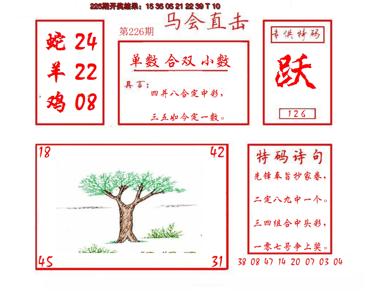 2024226期马会直击