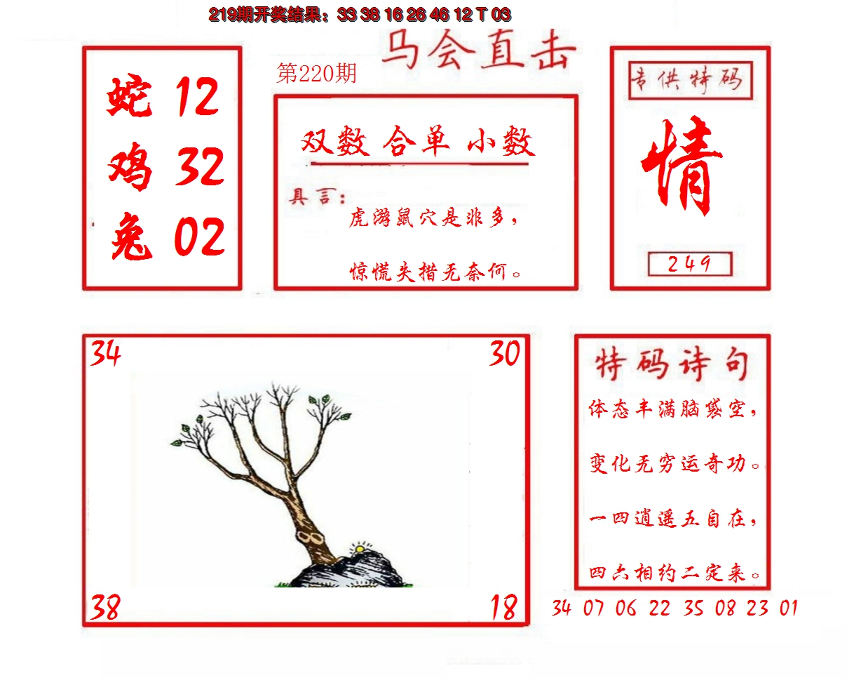 2024220期马会直击