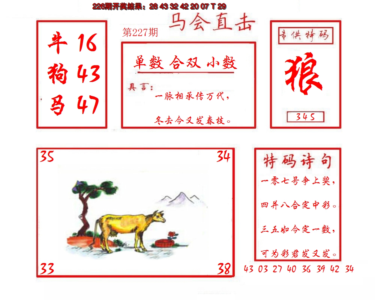 2024227期马会直击
