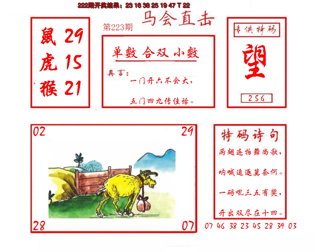 2024223期马会直击