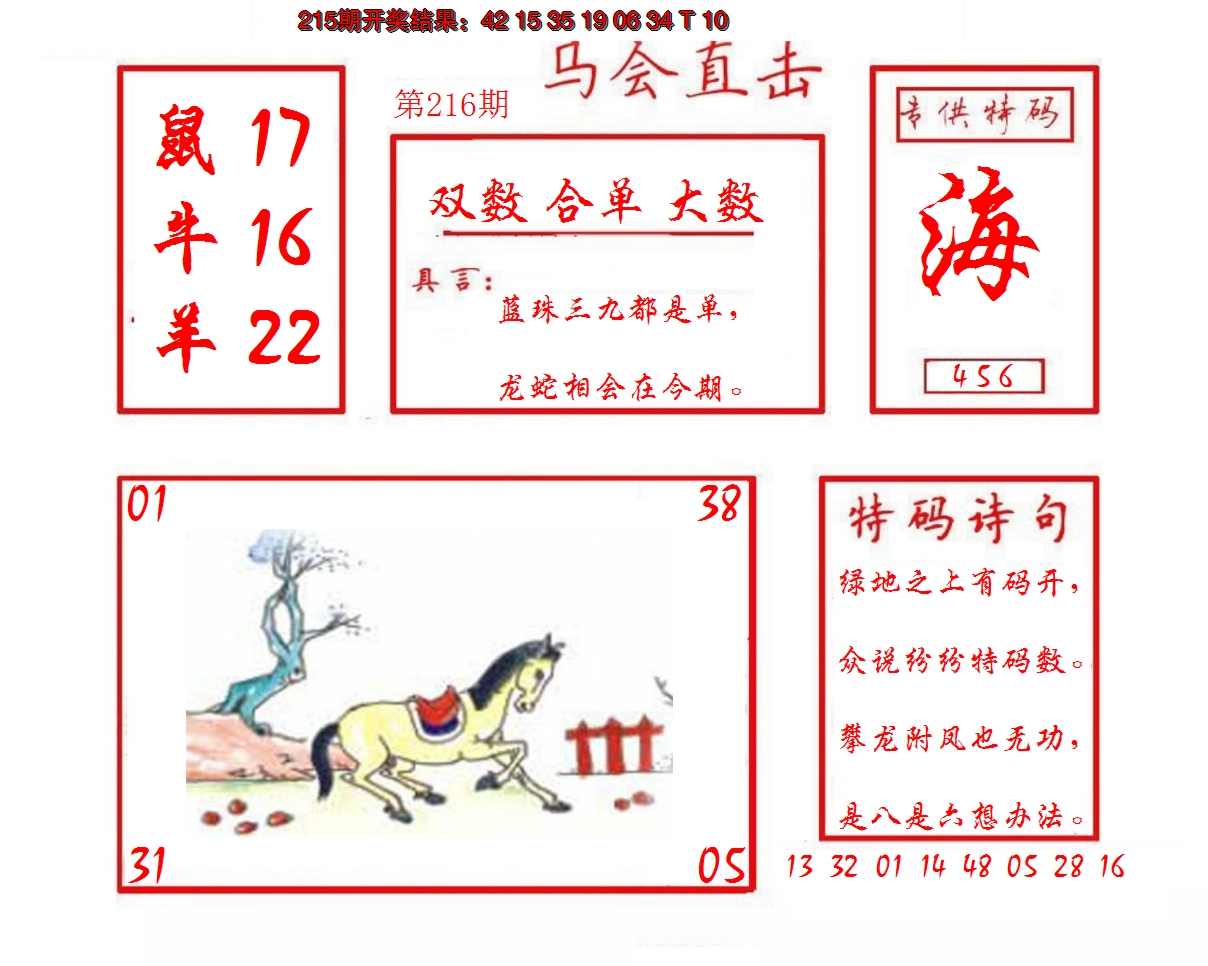 2024216期马会直击