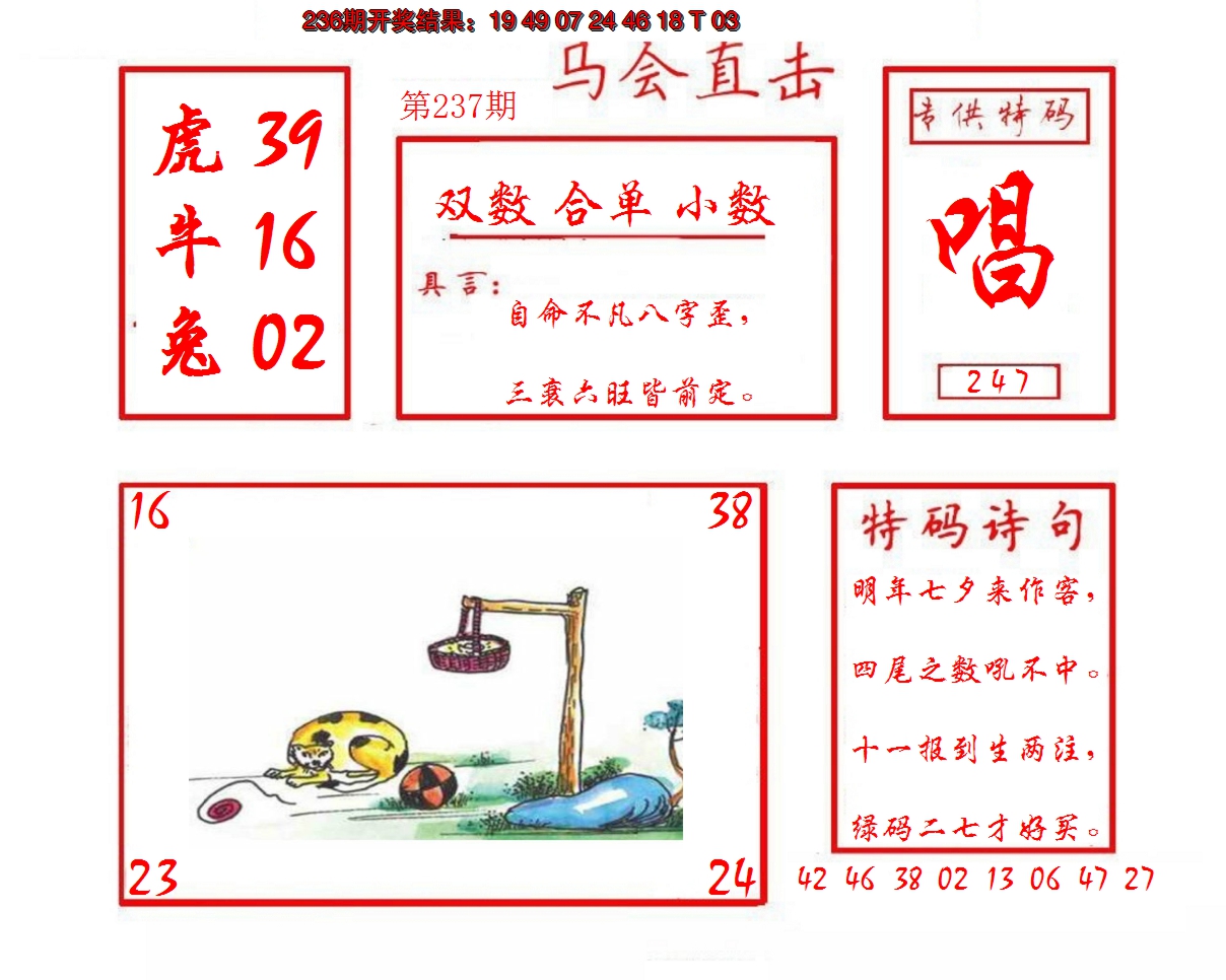 2024237期马会直击