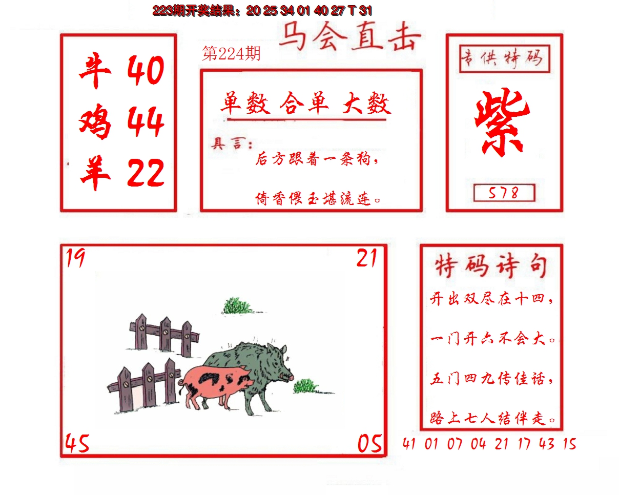 2024224期马会直击