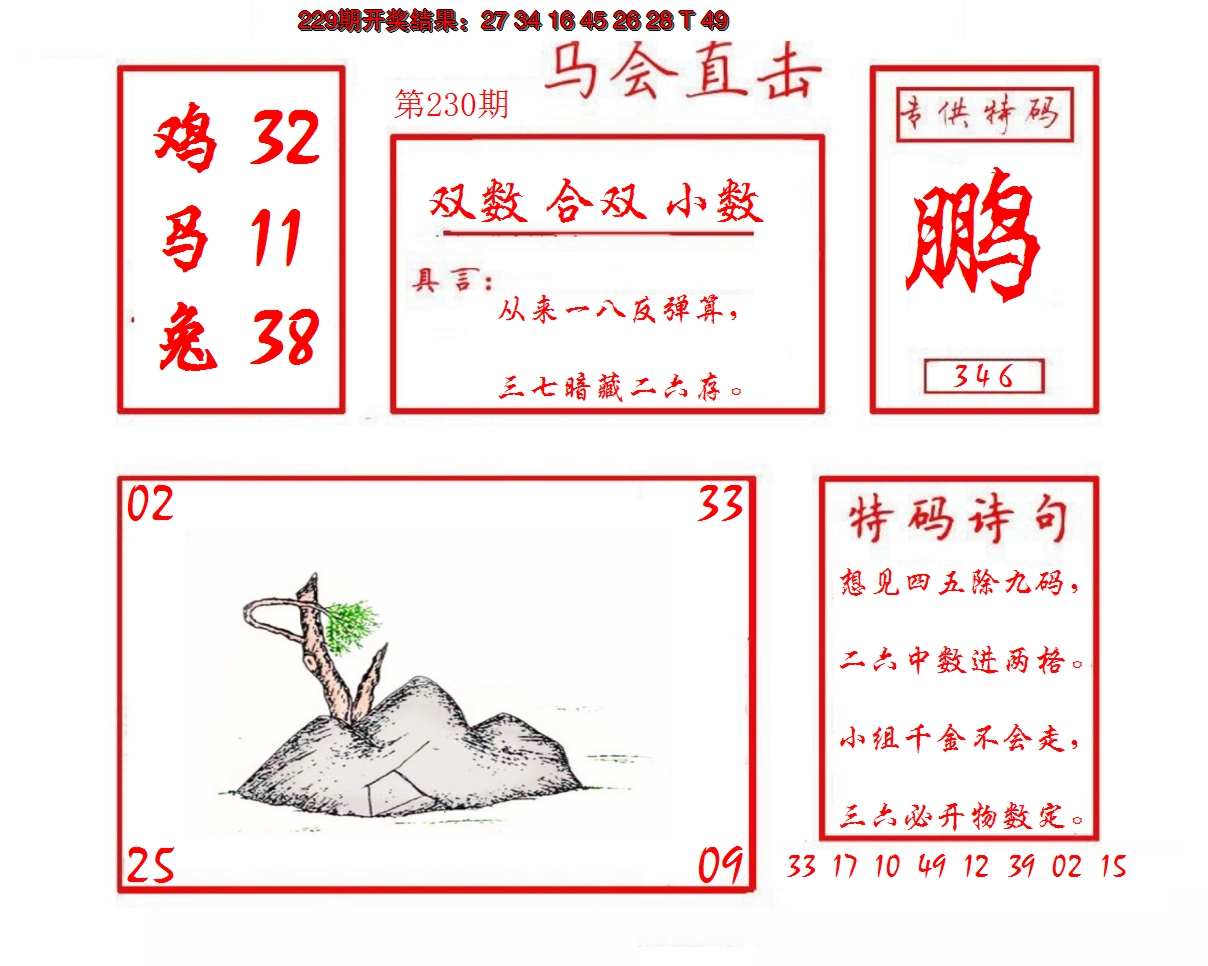 2024230期马会直击