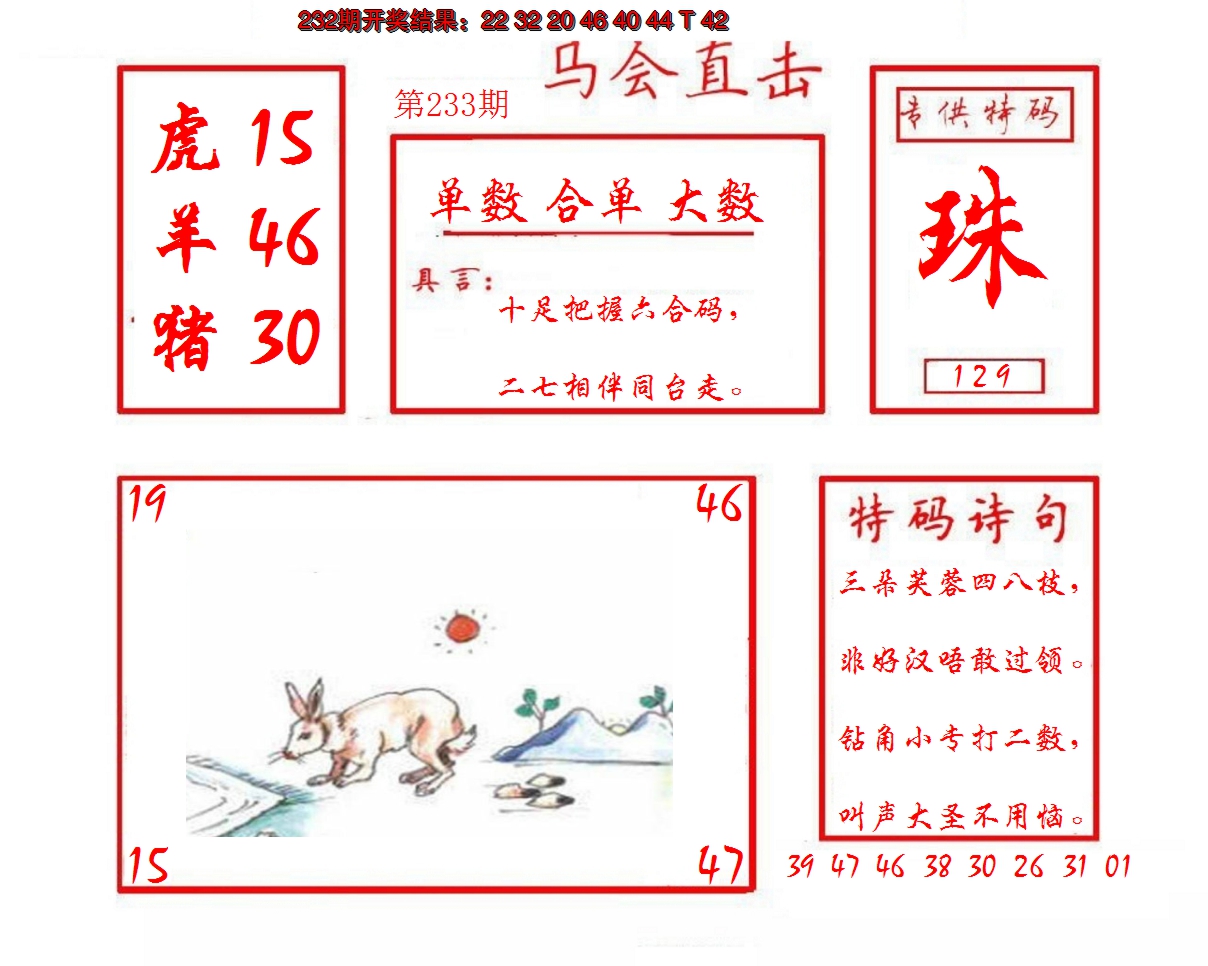 2024233期马会直击