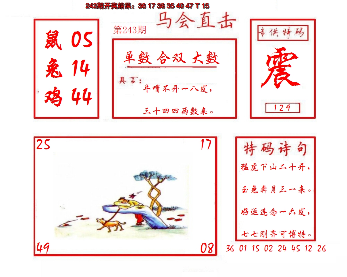 2024243期马会直击