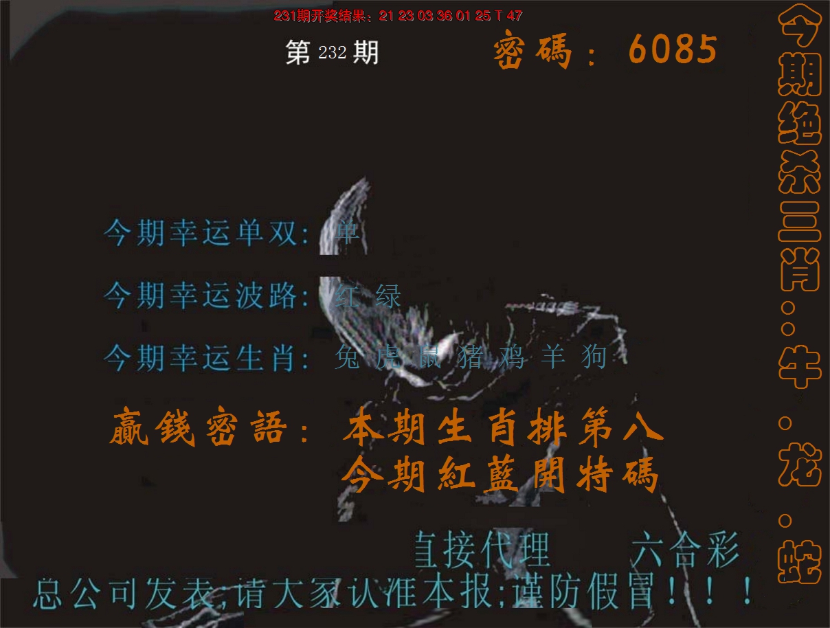 2024232期特码报