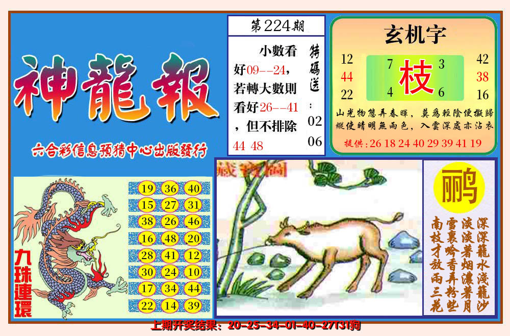 2024224期神龙报