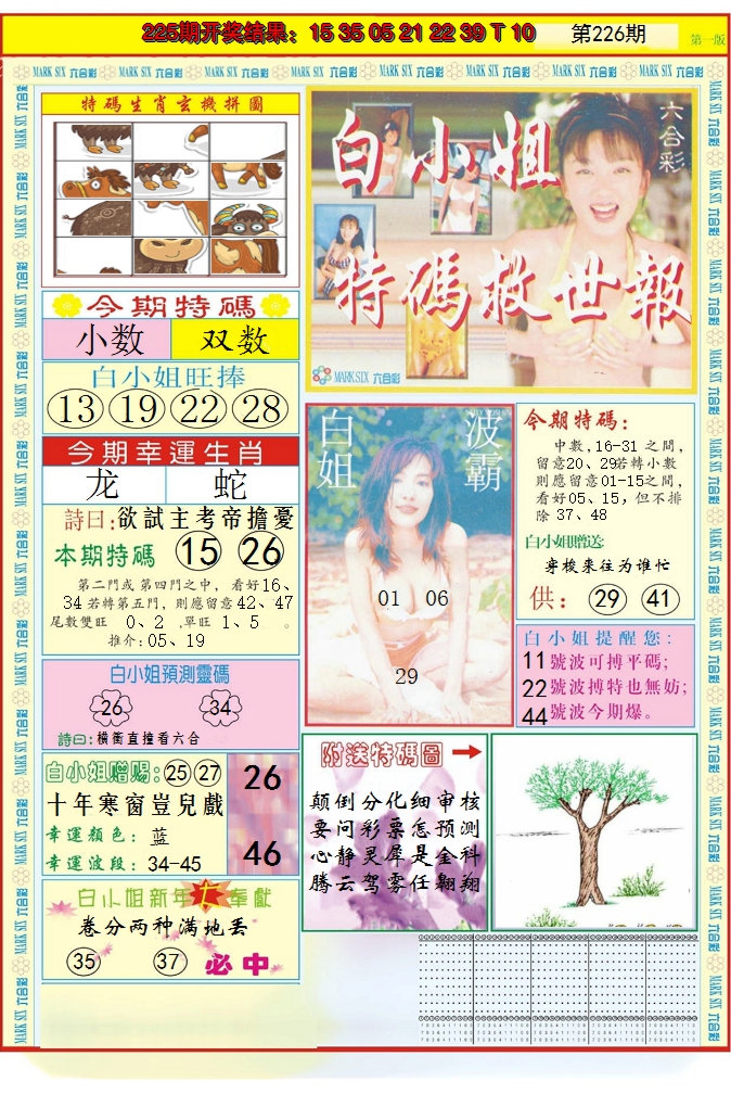 2024226期白小姐急旋风A