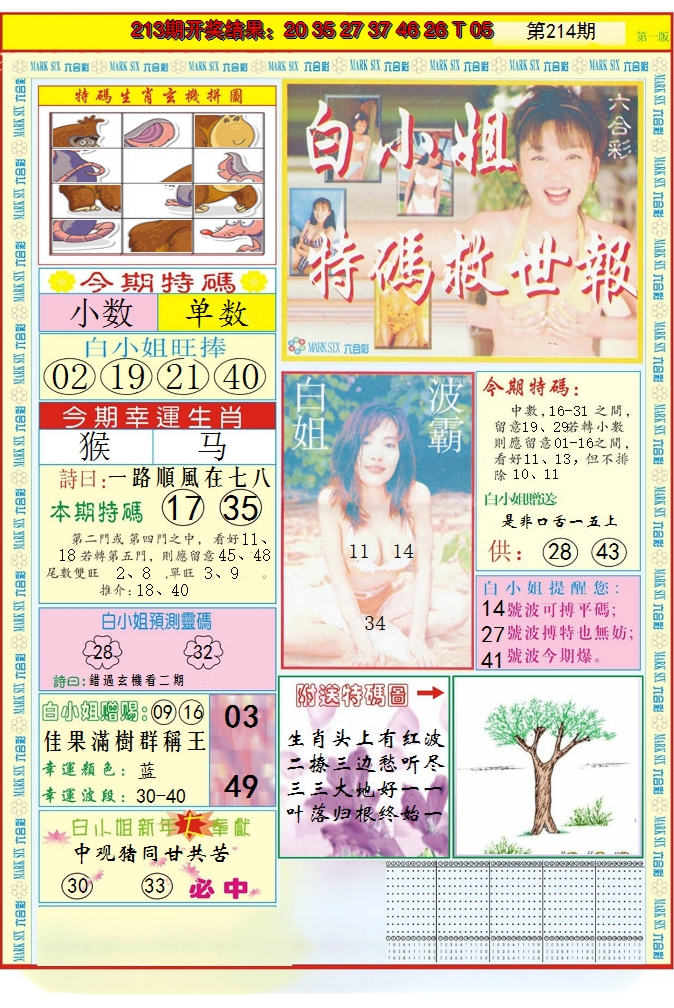 2024214期白小姐急旋风A