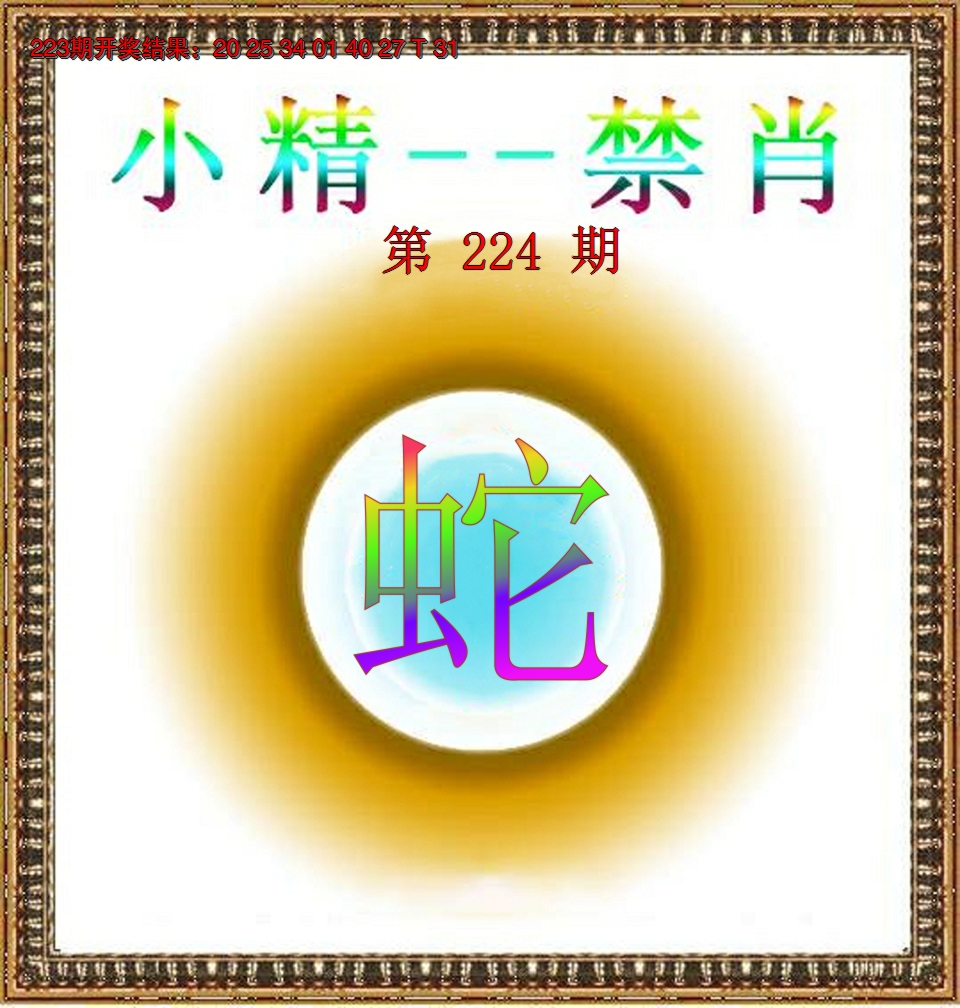 2024224期小精禁肖