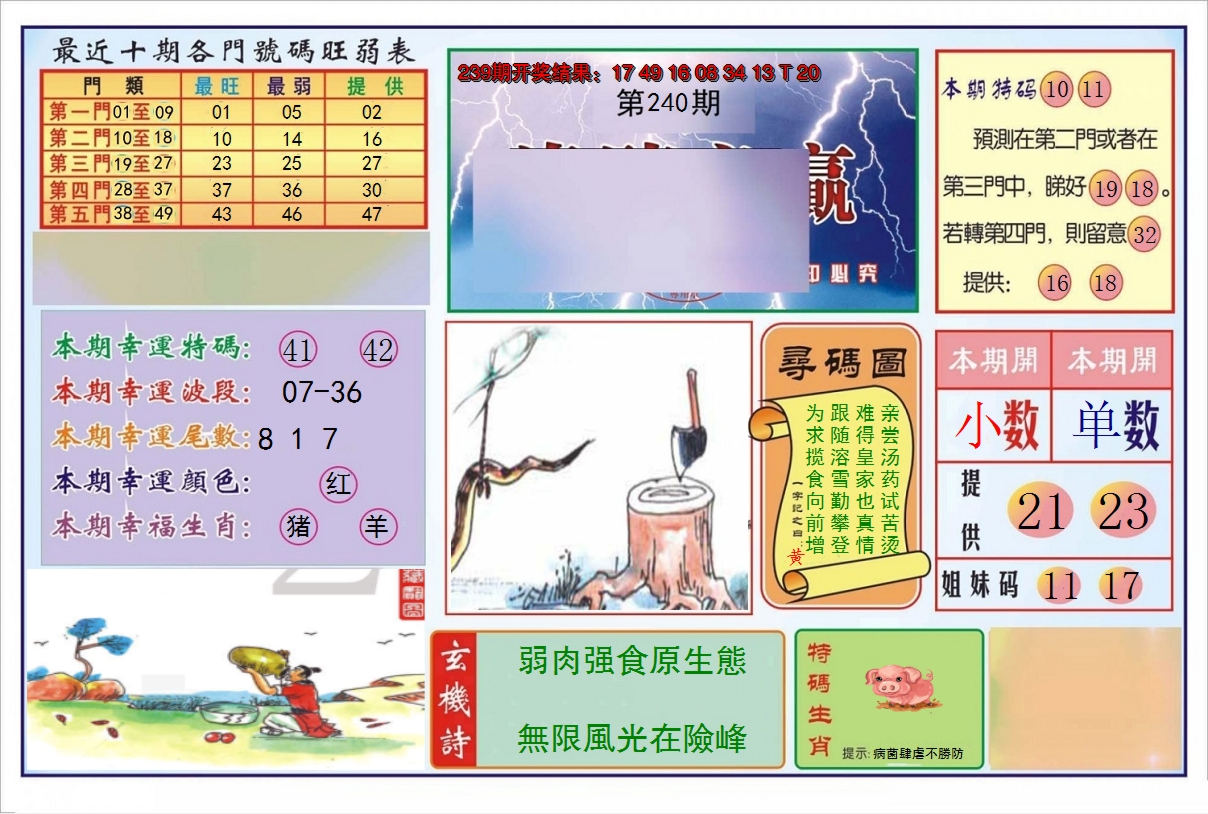 2024240期逢赌必羸