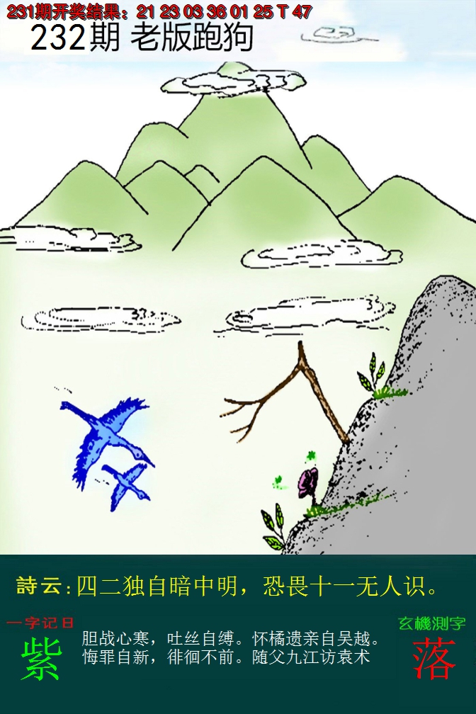 2024232期老版跑狗