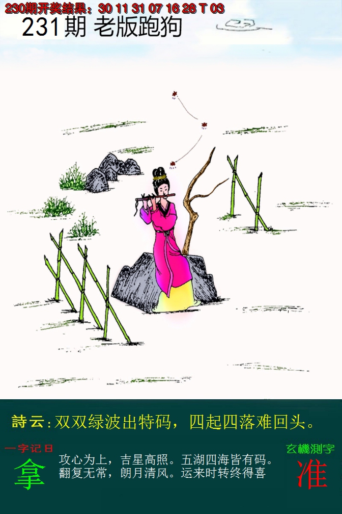 2024231期老版跑狗