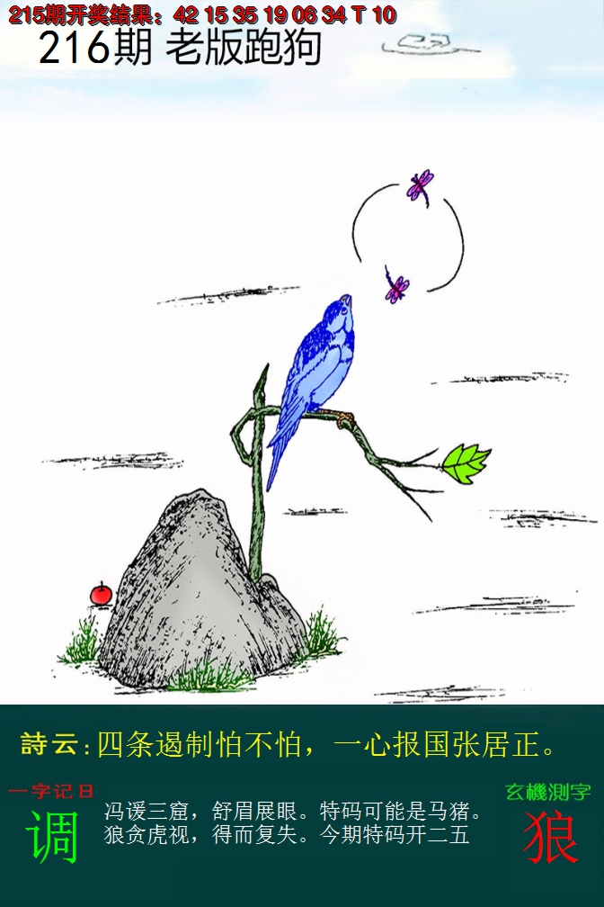 2024216期老版跑狗