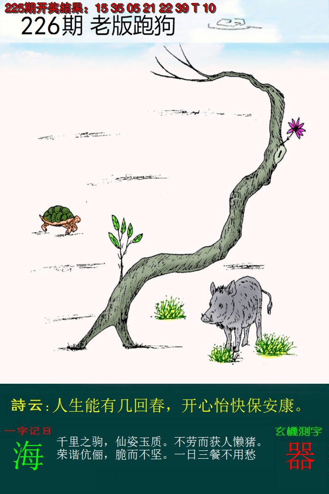 2024226期老版跑狗