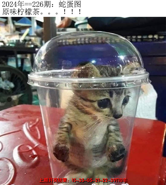 2024226期另版蛇蛋图