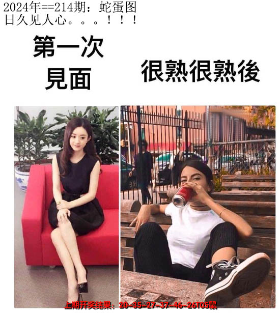 2024214期另版蛇蛋图
