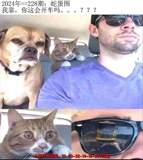 2024228期另版蛇蛋图