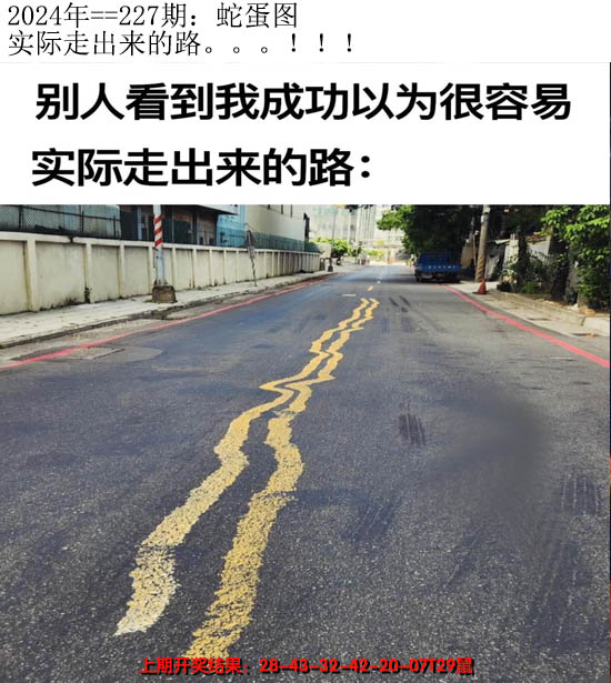 2024227期另版蛇蛋图